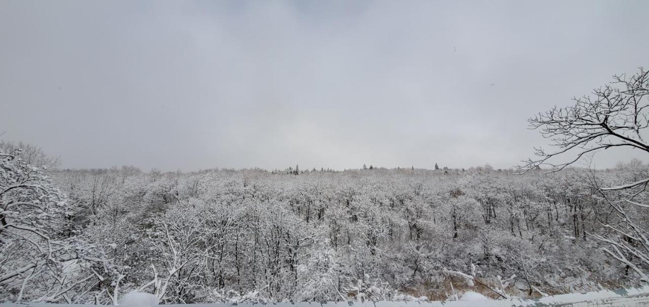 Konayuki Hotel Myoko Luaran gambar
